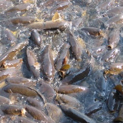 Andover, Ohio: May 29, 2006